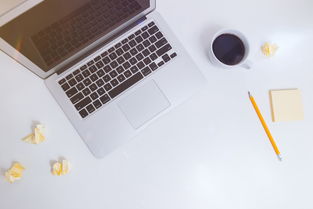如何选宝宝隔尿垫品牌，实用指南与案例分析