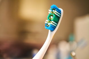 探索口腔健康的秘密武器——神器牙刷品牌