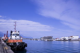 中餐出海代表品牌，扬帆远航，展现中华美食魅力