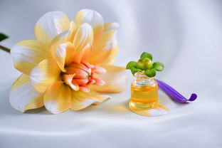 揭秘小众植物洗面奶品牌，绿色护肤新潮流