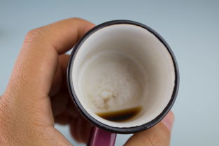 陶瓷水杯品牌大盘点，看看哪些品牌在排行榜上名列前茅！