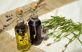 全球电动牙刷品牌大比拼，哪款是你的口腔护理好帮手？