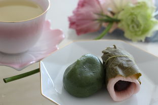 日本辅食机推荐平价品牌，轻松打造宝宝营养美食！