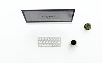 随身空气净化器品牌大全
