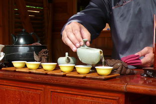 茶叶水分测量仪推荐品牌大盘点，精准把控茶叶品质的秘密武器