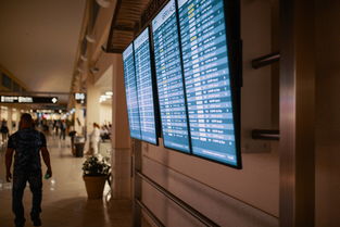 探索中医板材品牌，传统与现代的融合之旅