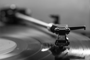 语音鼠标品牌大全
