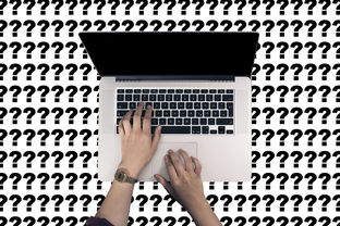 坚果品牌前十排名表格图