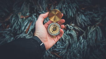 探索黄金手链的奥秘—龙骨手链品牌精选