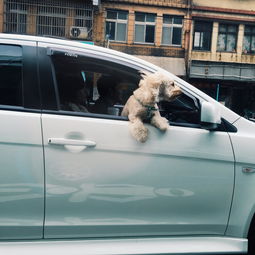 盘点热销品牌童车，这些牌子你了解吗？
