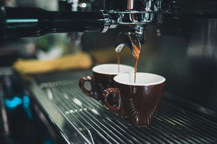 揭秘drink水杯品牌—时尚、健康、环保的饮水新选择