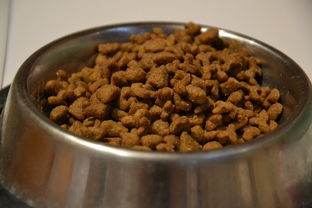 山西必买猫零食品牌店，猫咪美食天堂，品质与口感的完美结合！