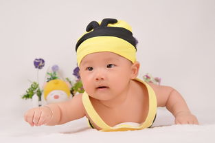 子王国品牌婴儿尿不湿—呵护宝贝成长每一步