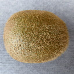 陶瓷氮化硼品牌排名大解析
