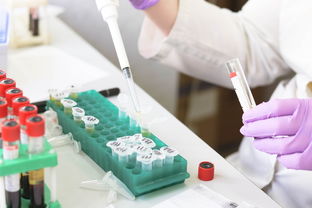 大学实验室里的美颜秘籍—揭秘大学研发洗面奶品牌的奇迹之旅