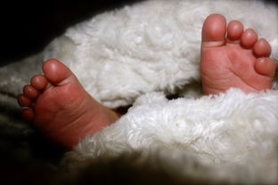揭秘婴幼儿隔尿垫品牌，为宝宝舒适睡眠保驾护航