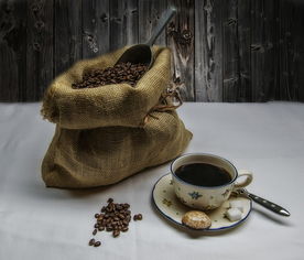品牌茶花水杯—品味生活，从一杯茶开始