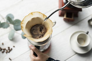 揭秘水杯品牌中国，那些你不知道的国内水杯品牌故事