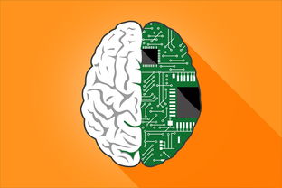 数字涂画网站推广全攻略，让你的创意作品触达更多粉丝！