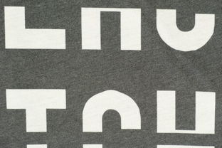 站西服装市场招聘品牌，探寻人才，共铸时尚传奇