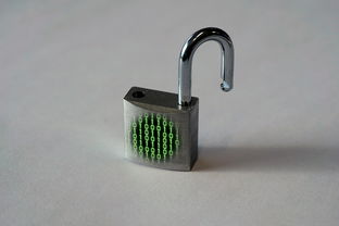 木门锁心品牌，匠心独运，守护每一份安全