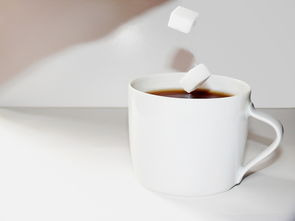 揭秘水杯名媛品牌，时尚与品位的完美融合