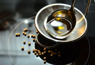 广东菜籽食用油品牌深度解析