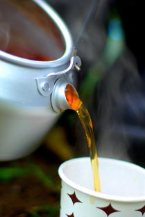 揭秘空气水杯品牌，如何让每一口水都清新如风？