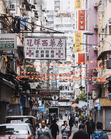 西柚少儿美术品牌，究竟属于哪个城市？深度解析背后的故事与细节
