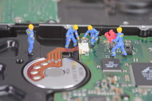 玩转直播，打造玩具品牌新高度—玩具品牌直播方法论全解析