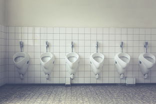 探索瓷砖世界，哪种品牌瓷砖最好？