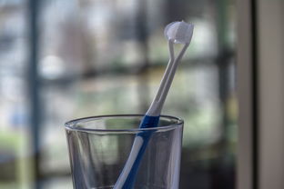 半圆儿童牙刷品牌，守护孩子口腔健康