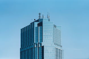 揭秘建筑机器人品牌前十强，未来建筑业的得力助手！