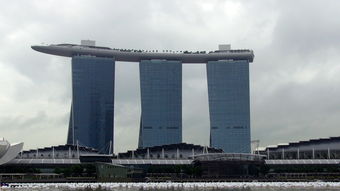 揭秘建筑机器人品牌前十强，未来建筑业的得力助手！