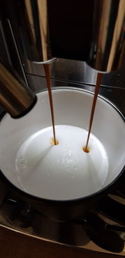 辅食机推荐，哪个品牌更胜一筹？