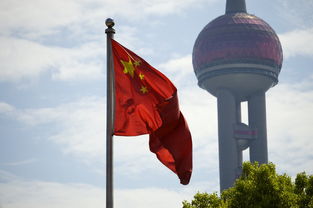 探索中国书法墨汁的世界