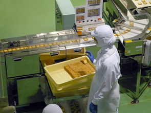 滨州扫地机品牌厂家地址与案例分析