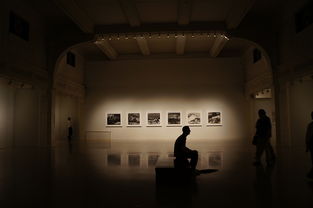 专注整体软装品牌，打造生活美学的艺术之旅