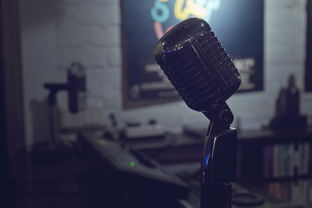 抖音推广网站全攻略，轻松上手，让你的网站在抖音上爆火！