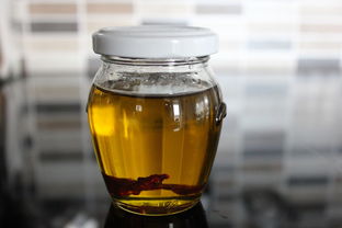 漱口水果冻杯品牌介绍