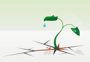 揭秘节水认证水龙头品牌，绿色生活，从点滴开始