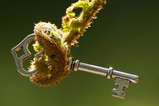 探索折纸鼠标的世界，不同品牌的比较与选择