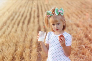好的幼教玩具品牌，如何为孩子选择优质玩具伙伴
