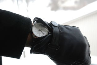 加拿大冬季神器—盘点那些让人爱不释手的铲雪铲子品牌