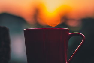 车载水杯几大品牌盘点，实用又美观的选择指南