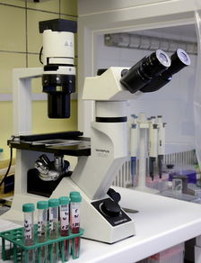 揭秘最新生物测量仪品牌，科技革新，健康管理的得力助手